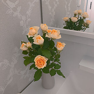 いつもいいねありがとうございます♡/記念日のお花❤︎/癒し空間に♡/バス/トイレのインテリア実例 - 2022-06-04 00:06:28