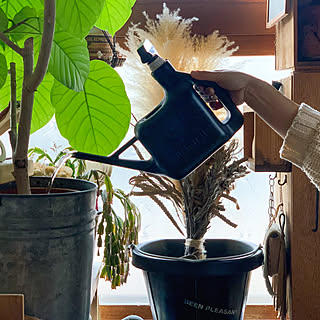 雑貨/ジョウロ/植物のある部屋/植物のある生活/植物のある暮らし...などのインテリア実例 - 2021-02-06 20:17:08