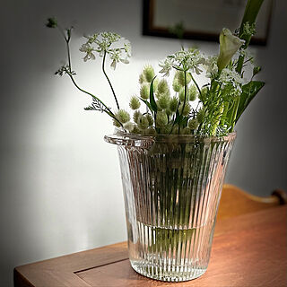 白い花/ガラスの花器/逢/春/植物のある暮らし...などのインテリア実例 - 2021-04-15 20:56:44
