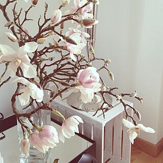 リビング/flower/decorationのインテリア実例 - 2013-03-26 17:24:53