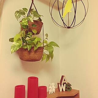 壁/天井/IKEA/雑貨/観葉植物のインテリア実例 - 2016-11-05 21:04:44