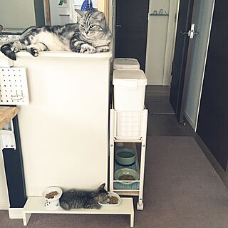 mikomaruさんの実例写真