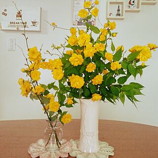リビング/やまぶきの花/庭の花/花瓶/コースター手作りのインテリア実例 - 2017-04-19 13:08:46