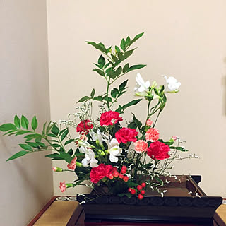 部屋全体/床の間/お花のある暮らし/植物のある暮らし/和モダン...などのインテリア実例 - 2021-06-21 21:04:47