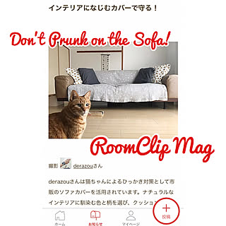 猫のいる暮らし/手ぬぐいタペストリー/ZARA HOME/IKEA クッション/オイルレザーのソファー...などのインテリア実例 - 2019-09-28 08:46:08