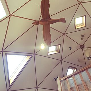 壁/天井/屋根の形はサッカーボールと一緒/BESSドーム/父のハンドメイド、鳥のインテリア実例 - 2017-06-02 06:57:12
