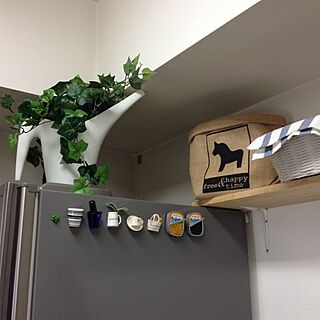 キッチン/冷蔵庫上/冷蔵庫のマグネット/IKEA/フェイクグリーンのインテリア実例 - 2014-01-17 13:45:13