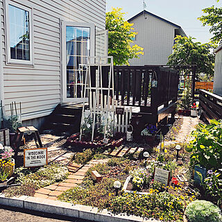ガーデニング/DIY/手作りの庭/花のある暮らし/緑のある暮らし...などのインテリア実例 - 2020-06-13 08:41:45