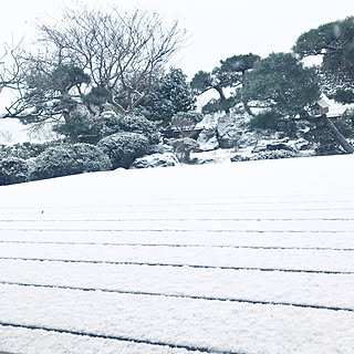 ウッドデッキからの景色/ウッドデッキのある暮らし/ウッドデッキ/庭園/雪...などのインテリア実例 - 2022-01-12 08:19:57