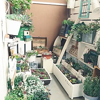 バス/トイレ/お花/お家モチーフ/幸せな気持ち♥/観葉植物...などのインテリア実例 - 2017-06-18 09:16:19