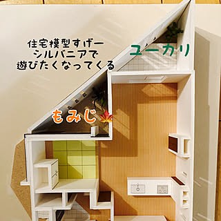 シンボルツリー/建築模型/ユーカリポポラス/庭のある暮らし/庭...などのインテリア実例 - 2020-10-03 08:08:02