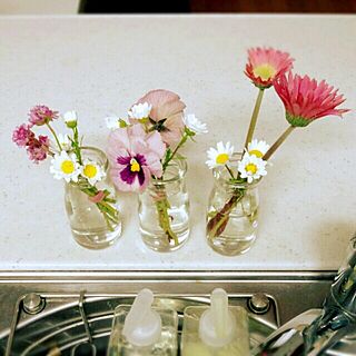 キッチン/プリンの空き瓶/お花摘みのインテリア実例 - 2014-11-24 16:04:13