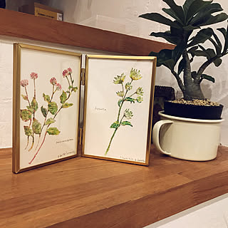 植物画/ボタニカルアート/イラスト手書き/IKEA 雑貨/ポストカード...などのインテリア実例 - 2020-12-10 07:19:36