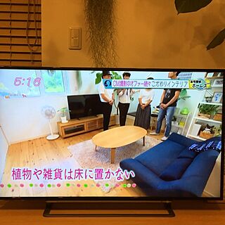 部屋全体/お宅探偵ホームズ/めんたいワイド/@room_d371b30d25/IG→kana_home...などのインテリア実例 - 2017-06-30 14:20:54