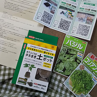 部屋全体/ジフィー/植物のある暮らし/タネまき/こどもと暮らす。...などのインテリア実例 - 2019-04-05 16:47:49