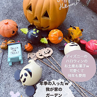 ハロウィンディスプレイ/ガーデンハロウィングッズ/ハロウィン/猫と暮らす/ネコグッズ...などのインテリア実例 - 2023-09-07 09:48:24