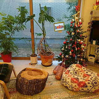 クリスマス/IKEA/ニトリ/クリスマスツリー/プーフ...などのインテリア実例 - 2020-11-26 22:35:36