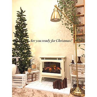 IKEAのライト/クリスマスツリー/salut!/暖炉型ファンヒーター/クリスマス...などのインテリア実例 - 2018-11-08 19:21:27