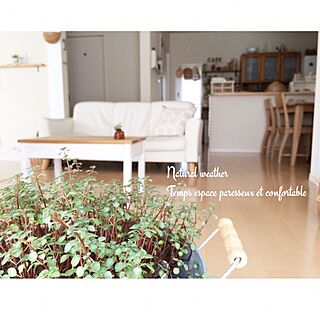 部屋全体/DIY/手作りテーブル/室内植物/いつもありがとうございます♡のインテリア実例 - 2014-09-25 19:11:47