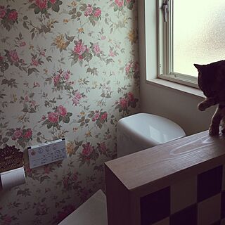 バス/トイレ/洗面室/二階のトイレ/バラ柄の壁紙。/ねこのいる風景...などのインテリア実例 - 2015-05-18 09:51:52