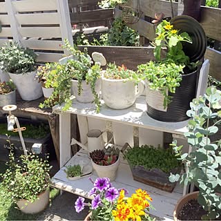 裏庭/DIY/植物/ベッド周りのインテリア実例 - 2016-05-03 07:46:22