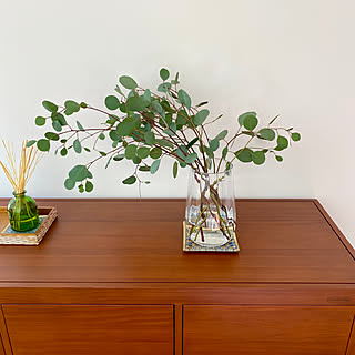 ユーカリ 花瓶のお花のおしゃれなアレンジ 飾り方のインテリア実例 Roomclip ルームクリップ