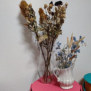 部屋全体/100均/一人暮らし/お花/フラワーポット...などのインテリア実例 - 2023-06-04 15:52:38