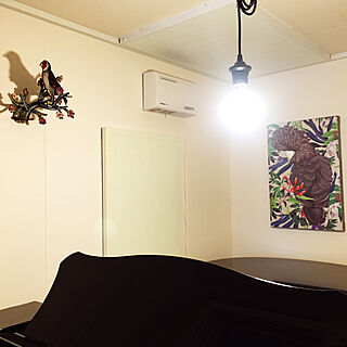 絵/ピアノ/オウムの絵/鳥/アートのある部屋...などのインテリア実例 - 2018-07-15 00:06:54