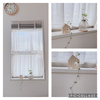 りんごジュースの瓶/コストコ/建売住宅だけど可愛く☆/観葉植物/ダイソー雑貨...などのインテリア実例 - 2021-03-26 09:32:26