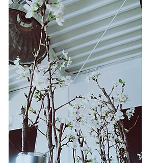 花のある暮らし/鉄骨な天井/塗装壁のインテリア実例 - 2017-03-17 16:24:59