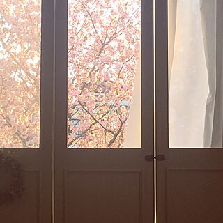 壁/天井/IKEAのカーテン/カーテン/1969組/窓からの景色...などのインテリア実例 - 2017-04-20 23:29:47