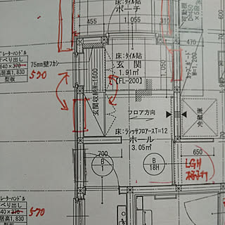 玄関/入り口/初投稿/間取り/30坪以下/予算との戦い...などのインテリア実例 - 2020-07-20 19:26:57