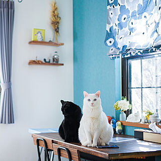 北欧 ブルーグリーンの壁紙のおしゃれなインテリア 部屋 家具の実例 Roomclip ルームクリップ