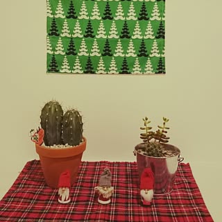 玄関/入り口/北欧に憧れて/多肉植物/ハンドメイド/クリスマスのインテリア実例 - 2014-11-12 19:10:31