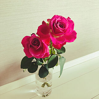 バラ大好き♡/観葉植物/花瓶/リビングのインテリア実例 - 2020-08-21 18:01:14