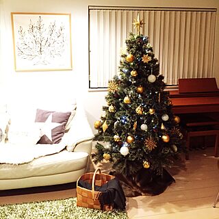 リビング/ニトリのフェイクファー/IKEA クリスマスオーナメント/もみの木のかご/アンリ・マティス 「低木」...などのインテリア実例 - 2016-11-14 21:18:58