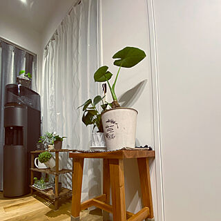 観葉植物のある暮らし/キッチン/ウッドスツール/RoomClipショッピングのインテリア実例 - 2022-02-25 06:55:47