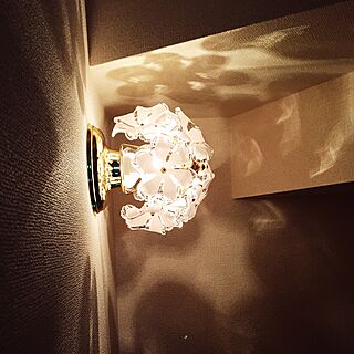 壁/天井/照明のインテリア実例 - 2015-03-06 01:37:08