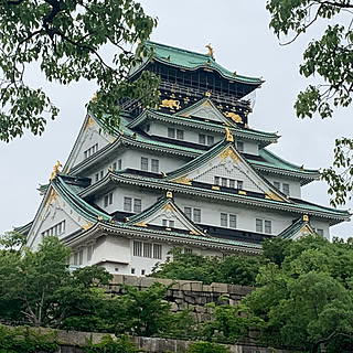 堀のある風景/公園/大阪城/紫陽花/玄関/入り口...などのインテリア実例 - 2023-06-10 17:16:20