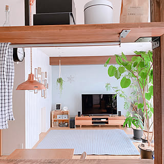 ダルトン/ジャーナルスタンダードファニチャー/壁紙屋本舗/100均/観葉植物...などのインテリア実例 - 2021-06-10 19:45:38