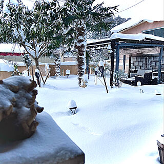 雪かき/大寒波/パーゴラDIY/雪の庭/玄関/入り口のインテリア実例 - 2021-12-28 20:12:26