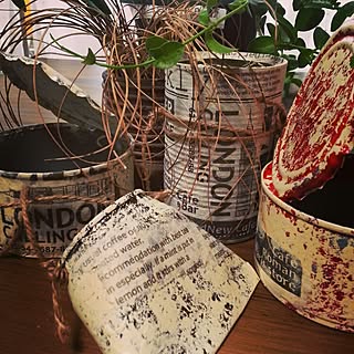 ハンドメイド/手作り/多肉植物/植物/空き缶リメイク...などのインテリア実例 - 2016-12-04 21:11:56