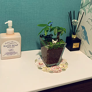 ミニ観葉植物/トイレの棚の上/ハイドロカルチャー/観葉植物のある暮らし/バス/トイレのインテリア実例 - 2020-03-21 10:43:57