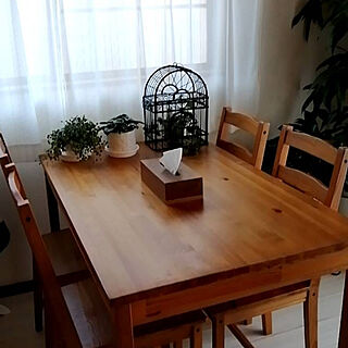 キッチン/IKEAのダイニングテーブルのインテリア実例 - 2020-08-30 18:10:58