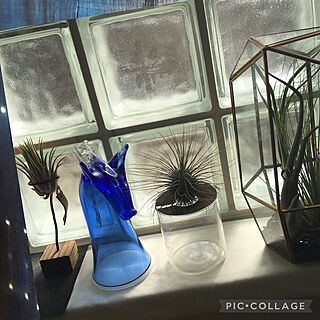 出窓ディスプレイ/ブルーが綺麗/馬のグラス/スガハラガラス/明るい...などのインテリア実例 - 2021-03-18 16:05:47