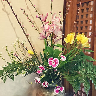 リビング/お花のある暮らし/お花に癒されます♡/お花/花瓶...などのインテリア実例 - 2019-02-19 17:00:10