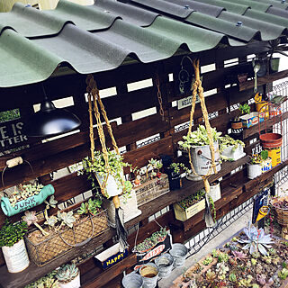 ガーデニング/植物棚/リメイク 鉢 /リメイク 缶/多肉植物...などのインテリア実例 - 2020-06-07 17:29:02