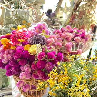 芳香剤・消臭剤を使わない暮らし/おうち時間を楽しむ/いつもいいねやコメントありがとう♡/自然を感じる暮らし/花が好き♡...などのインテリア実例 - 2020-04-14 21:02:33