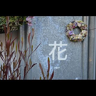 玄関/入り口/アレンジ/リース/廃材 haizai/植物...などのインテリア実例 - 2014-03-24 23:54:28