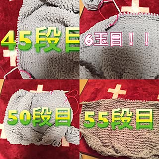 机/賃貸/DIY/ハンドメイド/ダイソー...などのインテリア実例 - 2017-02-21 21:42:52